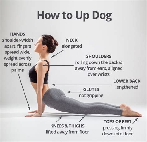 How To Do Upward Facing Dog Yoga For Beginners Yoga Tips How To Do Yoga