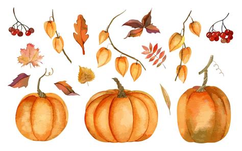 Autumn Big Set With Orange Watercolor Pumpkins And Fall Yellow Leaves