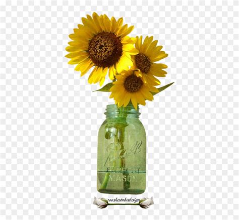 Download Bloemen Rooskestubedesign Bloem Sunflower In Mason Jar