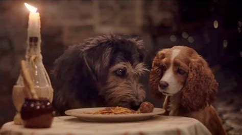 Disneys Live Action Lady And The Tramp Is Here The Dog People By