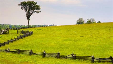 Split rail fences are the simplest and most economical type of fence. Types of Split Rail Fencing | Garden Guides