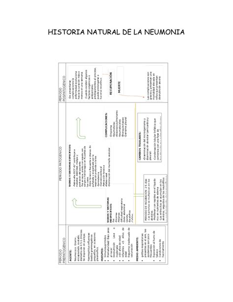 Historia Natural De La Neumonia