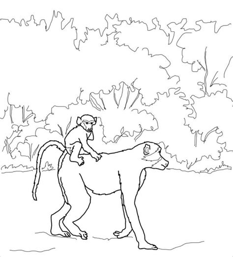 Realistic Baboon Coloring Page Coloringbay