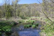 Check spelling or type a new query. Campground Details - Yellow River State Forest, IA - Iowa ...