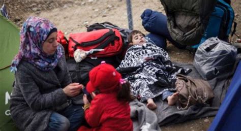 مفوضية شؤون اللاجئين تضع خطة من 6 نقاط لحل وضع اللاجئين في أوروبا أخبار الأمم المتحدة