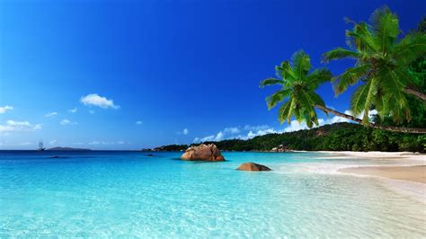 Tropical Paradise Beach Hd Desktop Wallpaper Preview