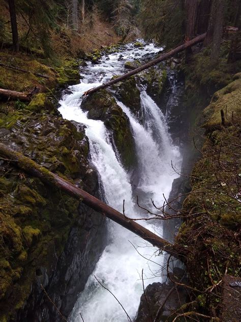 Sol Duc Hot Springs In Olympic National Park Ordinary Adventures