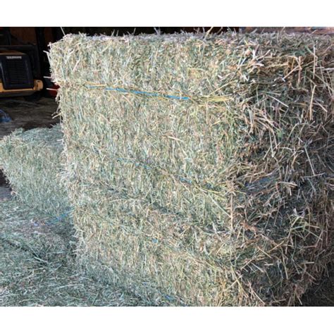 Alfalfa Hay Bales New Braunfels Feed And Supply