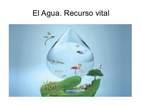 Agua Recurso Natural