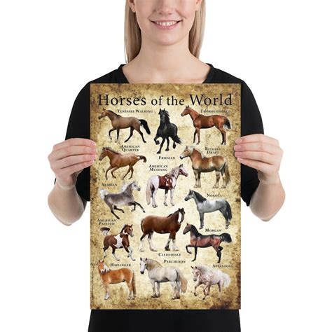 Horses Of The World Poster Etsy