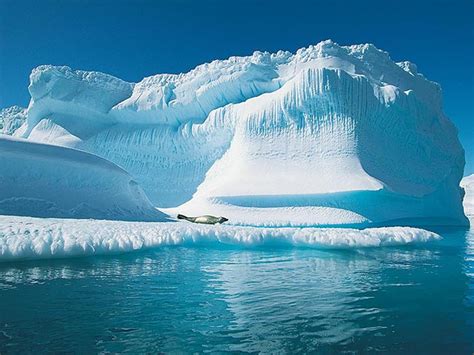 And even as climate change threatens our ability. 10 North Pole Facts We Bet You Don't Know | The List Love