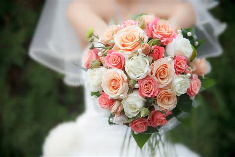 Wedding Bouquet Of Pink And White Roses Stock Photo Image Of Flower