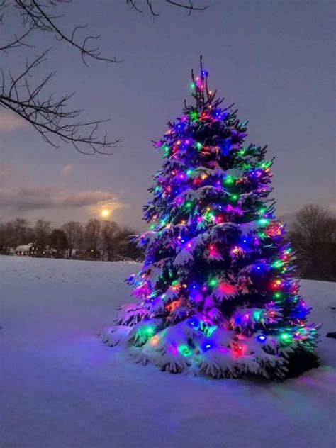 A Brightly Lit Christmas Tree In The Snow