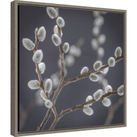 Red Barrel Studio® Canvas Art Framed Pussy Willows Ii By Jaynes