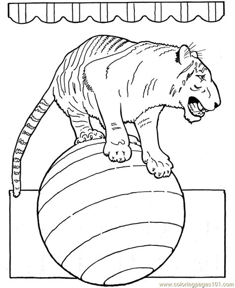 Coloring Pages Circus Tiger Animals Circus Animals Free Printable