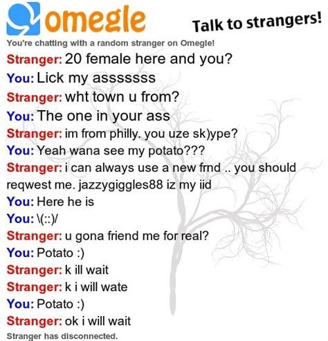 Omegle Talk To Strangers Youre Chatting With A Random Stranger On