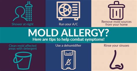 Mold Allergy Treatment Allergychoices