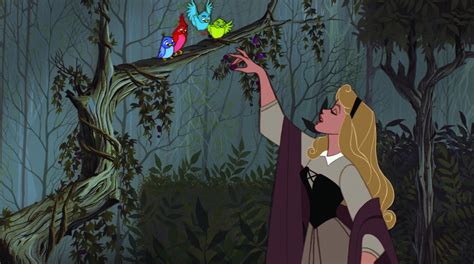 Aurora In The Forest Disney Princess Photo Fanpop Page