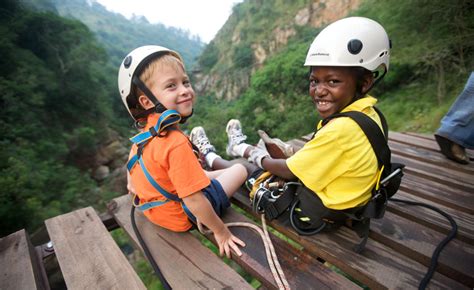You Can Tour A South African Rainforest Completely Via Zipline