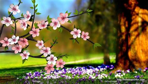 Click image to get full resolution. Desktop Wallpaper HD 3D Full Screen Flowers 2 - Visit Our ...
