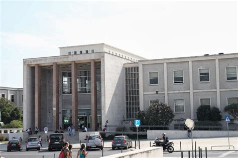 Atividade Faculdades De Direito Da Universidade De Lisboa E Da Ufc