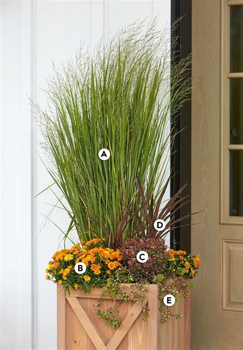 31 Stunning Fall Container Garden Ideas To Try Right Now In 2020 Fall