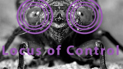 A circle is the locus of points on a plane that are a certain distance from a central point. Rotter (1966) - Locus of Control | Psych Yogi