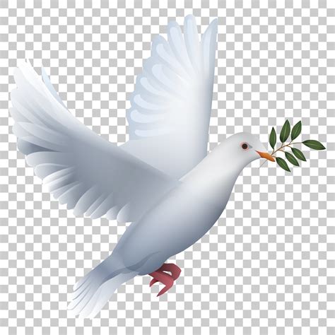 Dove Bird Png Image With Transparent Background Png Images Dove