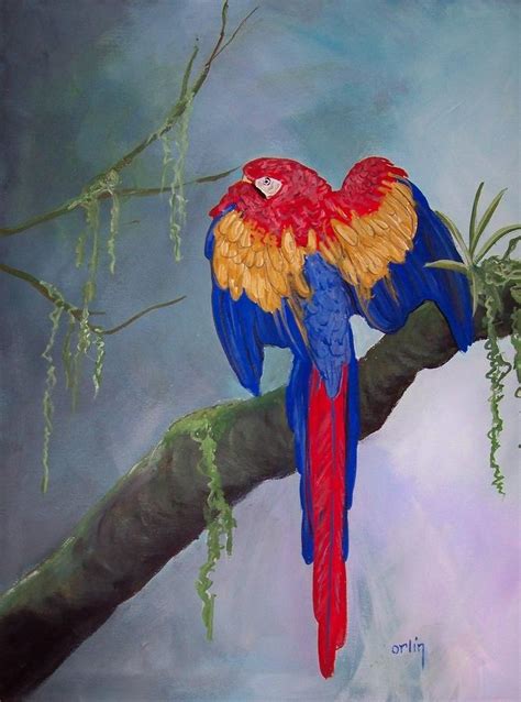 Scarlet Macaw Parrot Bird Nice Original Oil Painting By Bob Orlin