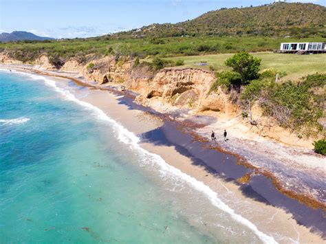Planning The Perfect Island Getaway To Vieques Puerto Rico Puerto