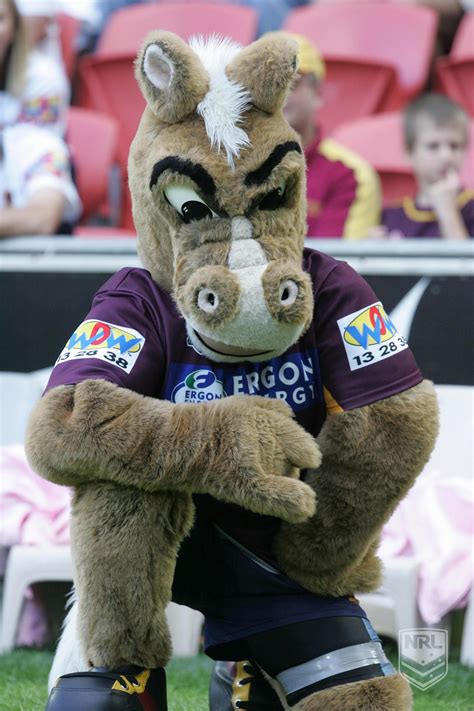 Brisbane Broncos Mascot Brisbane Broncos Broncos Rugby League