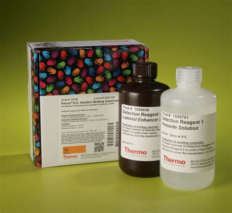 Thermo Scientific Pierce Ecl Western Blotting Substrate Ml Kit Products Fisher Scientific