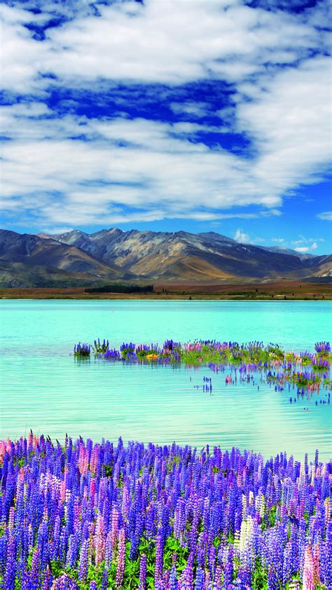 Wallpaper New Zealand River Mountains Flowers Clouds