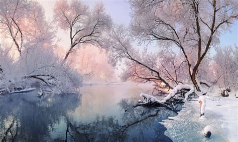 Calm Winter River Surrounded By Trees Winter Landscape Christmas