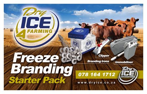 Why Freeze Branding Is Being Used As A Superior Method By Farmers