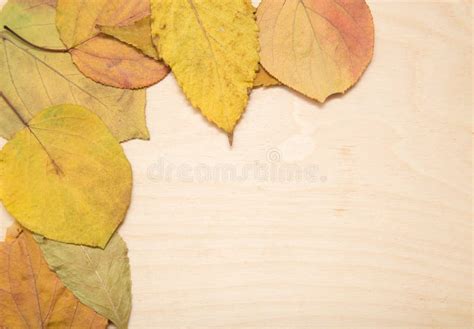 Autumn Leaves On A Wooden Background Stock Image Image Of Ragged