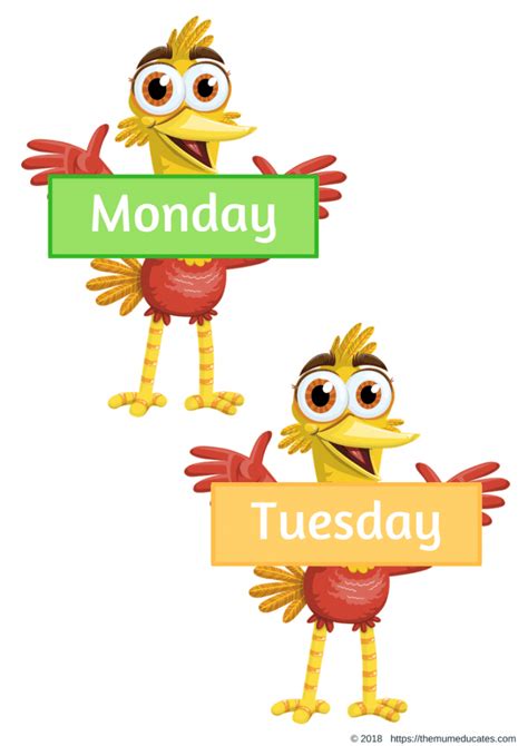 Bird Theme Days Of The Week Flashcards The Mum Educates Sexiz Pix My