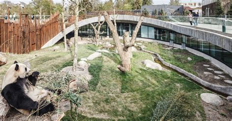 Bjarke Ingels Groups Panda House Opens At Copenhagen Zoo