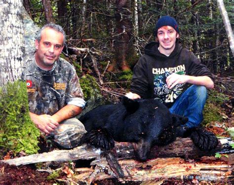 Maine Black Bear Guides Hunting Over Bait Season Tree Stand Ground Blind