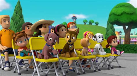 Precious Ownergallerypups Save A Talent Show Paw Patrol Wiki