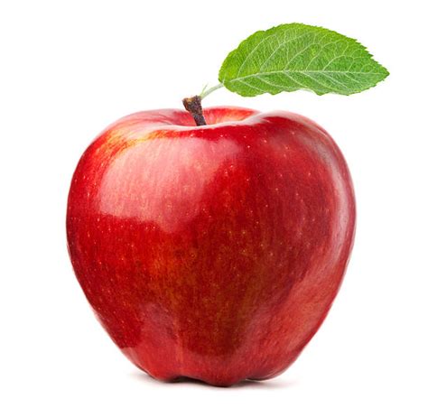 Apple Food Wiki Fandom