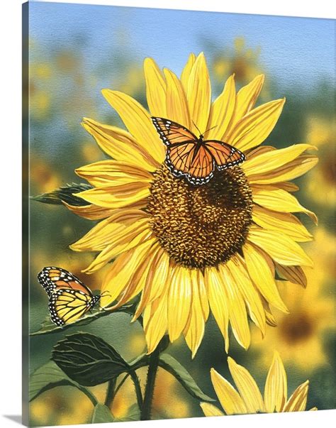 Sunflower Butterflies Wall Art Canvas Prints Framed Prints Wall