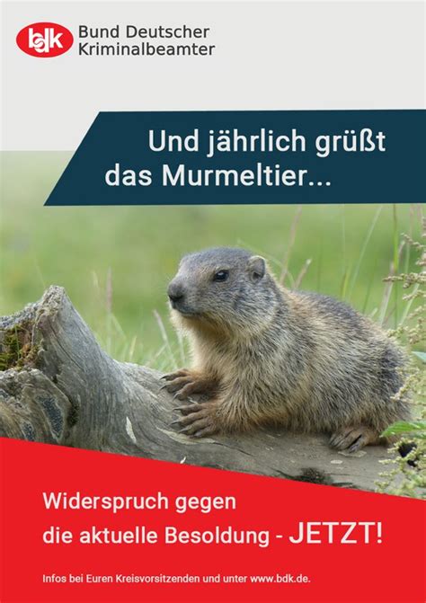 / brandenburg brandenburg hat seine beamten diskriminiert. Und jährlich grüßt das Murmeltier – Widersprüche gegen die ...