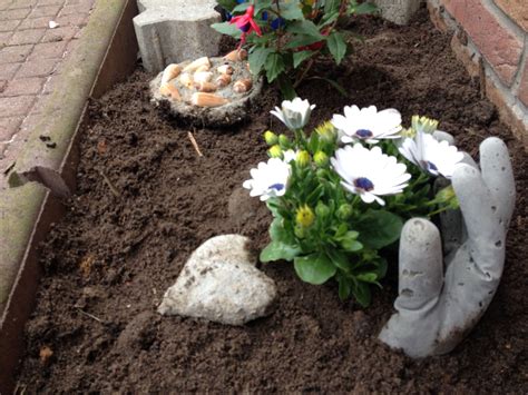 Wahnsinns produkte zu tollen preisen hier bei uns. Pin auf Garten