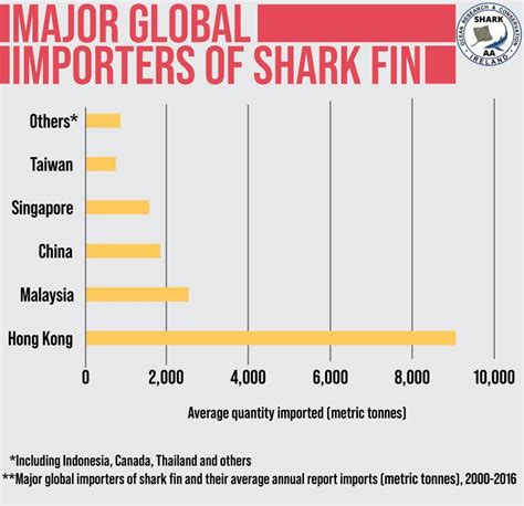 Shark Fin Trade In The Us Will Be Banned