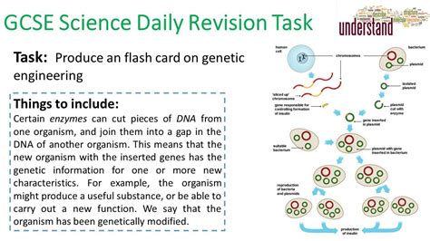 Gcse Science Daily Revision Task 136 Youtube