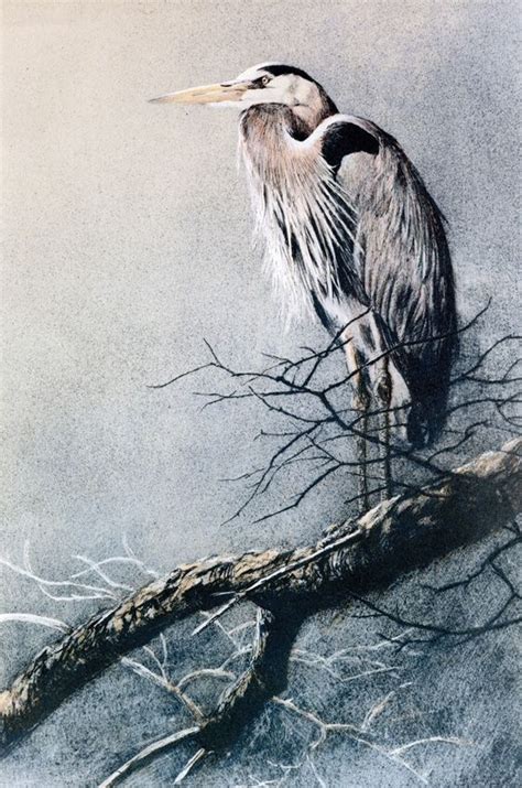 Robert Bateman Great Blue Heron Original Lithograph Wildlife