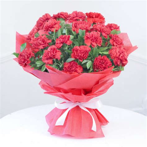 Order Bouquet Of 20 Beautiful Red Carnations Online At