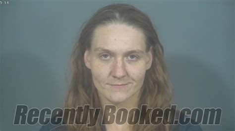 Recent Booking Mugshot For Melissa May Davies In St Joseph County