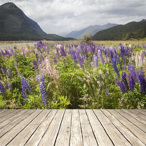 Diese tapete kommt mit klebstoff bereit, können sie ihre wand sofort verwandeln, leicht. Lilane Blumen Fototapete Berglandschaft Tapete Neuseeland ...